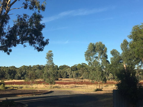 Junee Motor Inn - Accommodation Batemans Bay 24