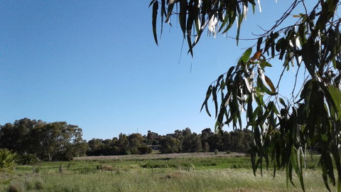 Junee Motor Inn - Accommodation Batemans Bay 8