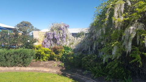 Almond Inn - Accommodation Batemans Bay 28