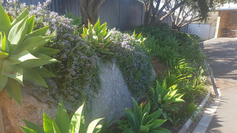 Almond Inn - Accommodation Batemans Bay 27