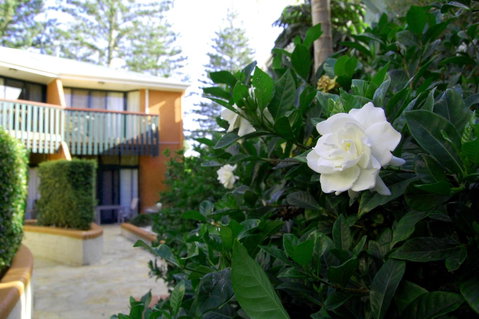 The Crest Byron Bay - Accommodation Batemans Bay 29