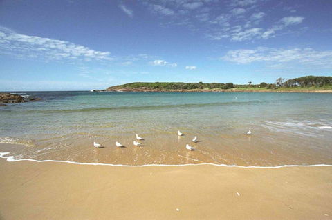 On The Beach Getaway - Accommodation Batemans Bay 12