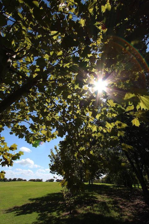 Crowne Plaza Hawkesbury Valley, An IHG Hotel - Accommodation Batemans Bay 43