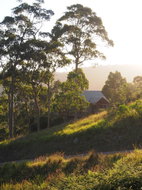 Book Bawley Point Accommodation Accommodation Batemans Bay Accommodation Batemans Bay