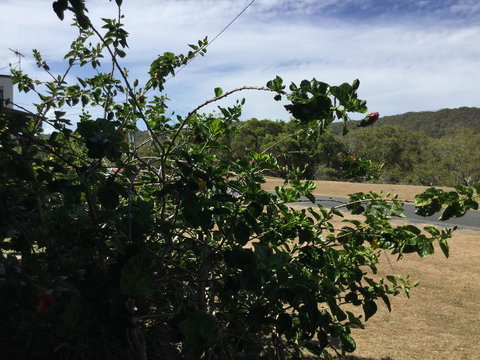 Hat Head Beach Cottage 1 - Accommodation Batemans Bay 2