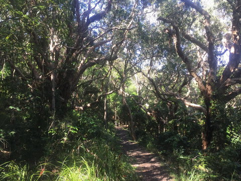 Hat Head Beach Cottage 1 - Accommodation Batemans Bay 24