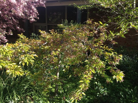 Warriwillah - Millthorpe's Country Motel - Accommodation Batemans Bay 6