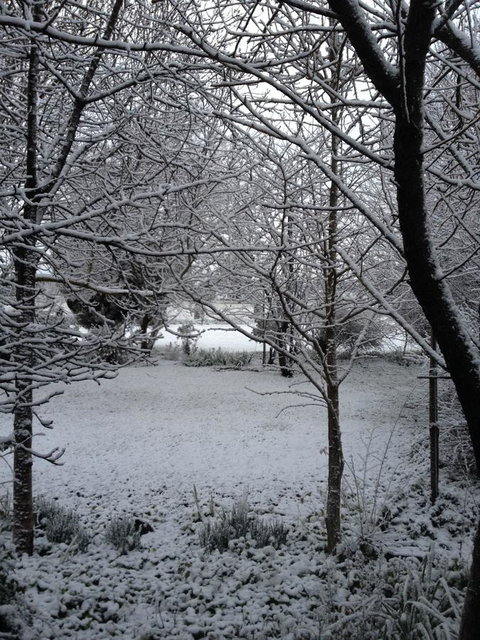 Warriwillah - Millthorpe's Country Motel - Accommodation Batemans Bay 17