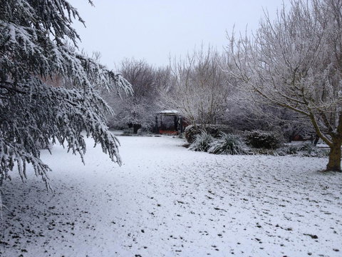 Warriwillah - Millthorpe's Country Motel - Accommodation Batemans Bay 12