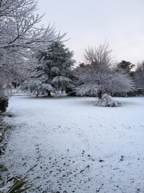 Warriwillah - Millthorpe's Country Motel - Accommodation Batemans Bay 15