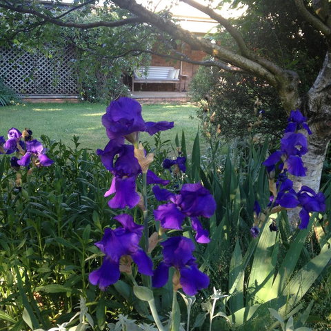 Warriwillah - Millthorpe's Country Motel - Accommodation Batemans Bay 9