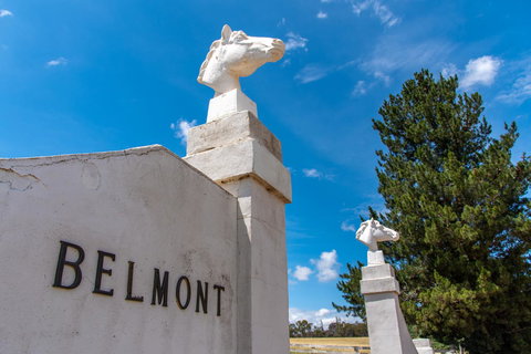 Belmont - Accommodation Batemans Bay 4