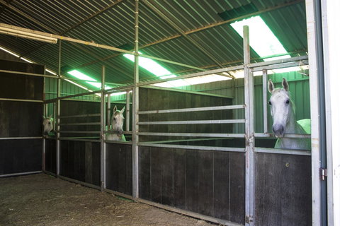 Allonville Gardens Motel - Accommodation Batemans Bay 33