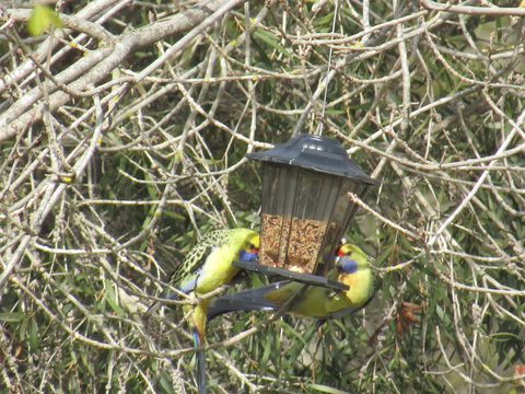 Allonville Gardens Motel - Accommodation Batemans Bay 36