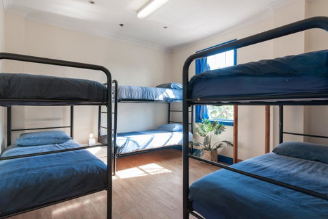 Mad Monkey Hostel Coogee Beach - Accommodation Batemans Bay 24