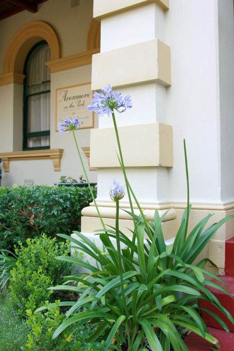 Avonmore On The Park Boutique Hotel - Accommodation Batemans Bay 15