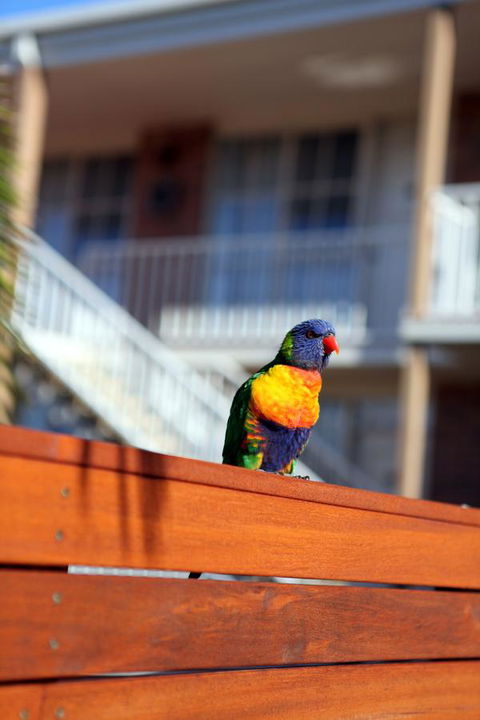 Summerhill Motor Inn - Accommodation Batemans Bay 30