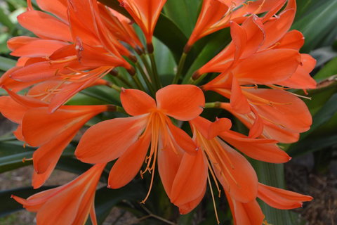 JE Guesthouse, Central To All The Hunter Valley Has To Offer - Accommodation Batemans Bay 39