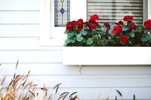 Morpeth Cottage - Accommodation Batemans Bay 41