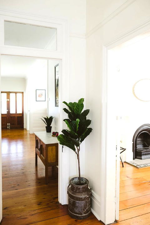 Morpeth Cottage - Accommodation Batemans Bay 3