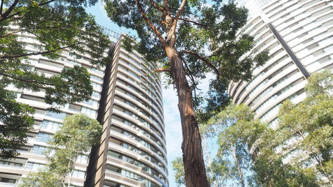 SkyGarden Sydney Olympic Park 3 & 4 Bedroom City View - Accommodation Batemans Bay 33