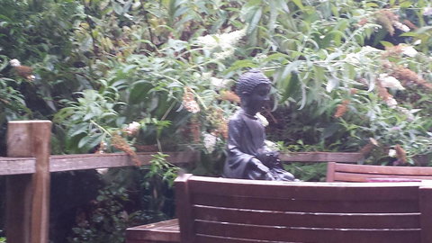 Lark Cottage - Accommodation Batemans Bay 19