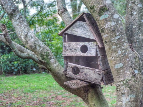 Lark Cottage - Accommodation Batemans Bay 3