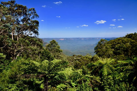 Dangal Gardens - Accommodation Batemans Bay 28