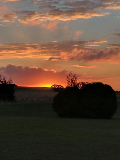 Madigan Wine Country Cottages - Accommodation Batemans Bay 13