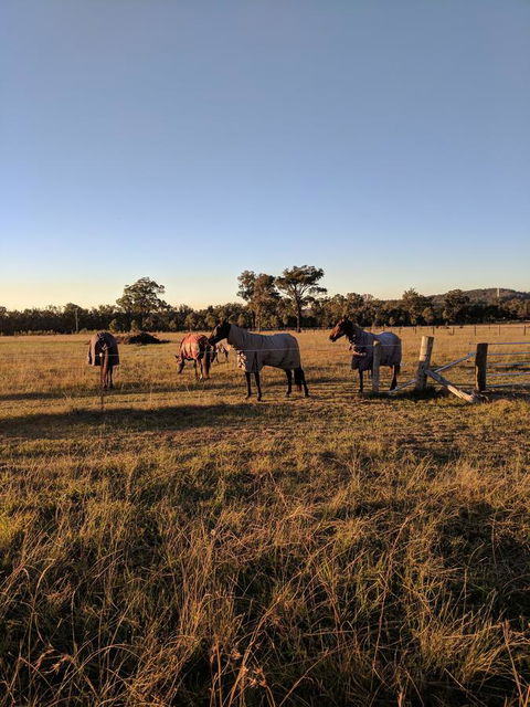 Madigan Wine Country Cottages - Accommodation Batemans Bay 8