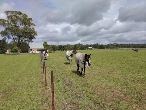 Madigan Wine Country Cottages - Accommodation Batemans Bay 9