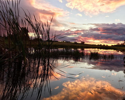 Madigan Wine Country Cottages - Accommodation Batemans Bay 16