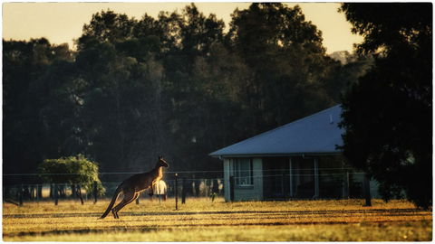 Madigan Wine Country Cottages - Accommodation Batemans Bay 5
