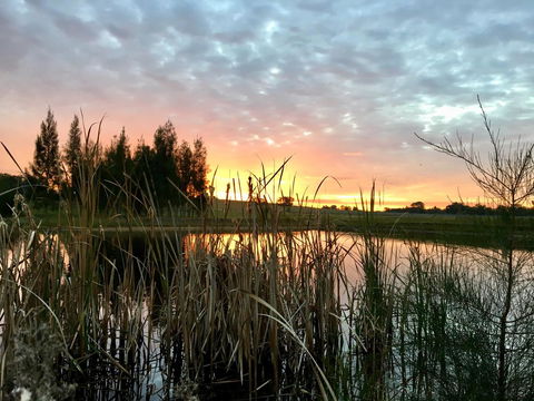 Madigan Wine Country Cottages - Accommodation Batemans Bay 14