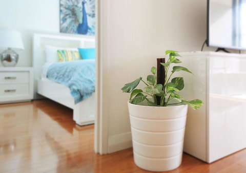 Sydney Apartment Close To Airport & CBD - Accommodation Batemans Bay 7