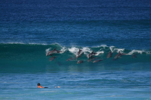 Glen Villa Resort - Accommodation Batemans Bay 18