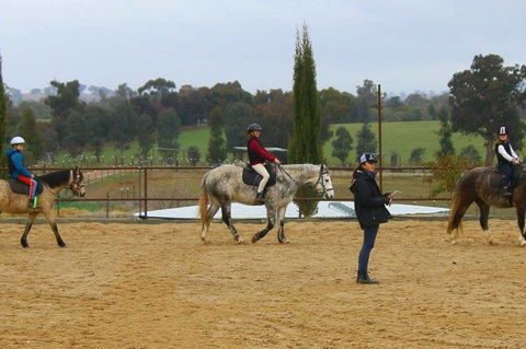 Belisi Farmstay Cottage - Accommodation Batemans Bay 34