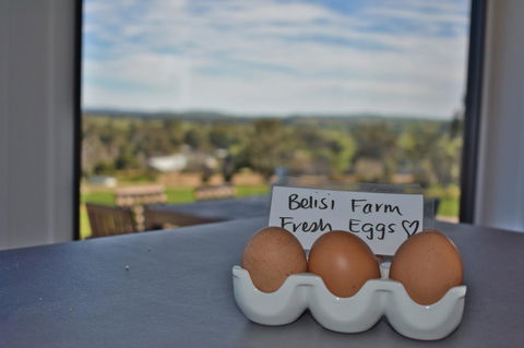 Belisi Farmstay Cottage - Accommodation Batemans Bay 20