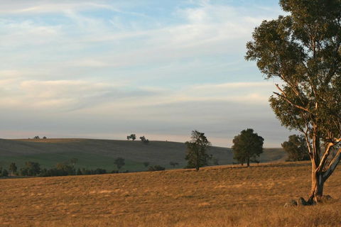 Belisi Farmstay Cottage - Accommodation Batemans Bay 33