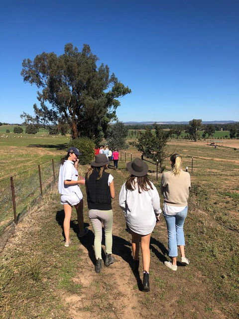 Belisi Farmstay Cottage - Accommodation Batemans Bay 7