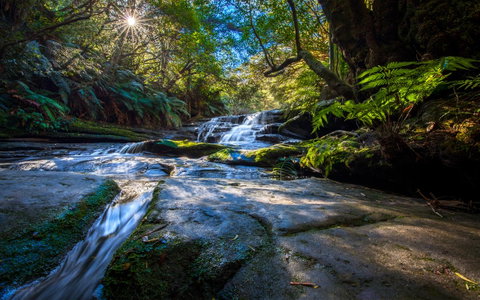 Sky Rider Motor Inn - Accommodation Batemans Bay 6