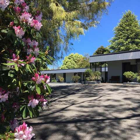 Sky Rider Motor Inn - Accommodation Batemans Bay 14