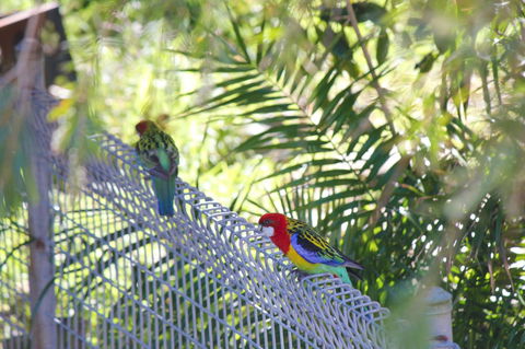Marty's @ Little Beach - Accommodation Batemans Bay 27