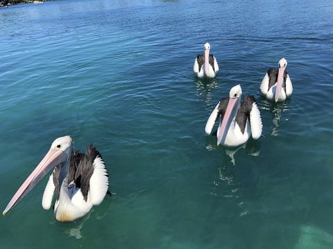 Aquarius 9 - Accommodation Batemans Bay 4
