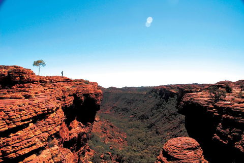 Discovery Resorts - Kings Canyon - Accommodation Batemans Bay 38