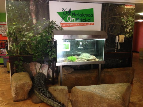 Melaleuca On Mitchell - Darwin YHA - Accommodation Batemans Bay 32