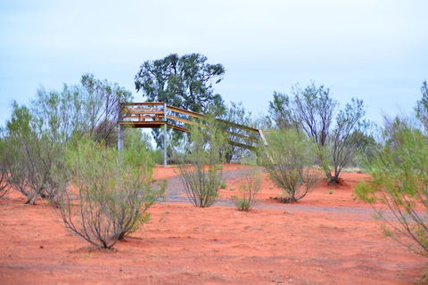 Erldunda Desert Oaks Resort - Accommodation Batemans Bay 42