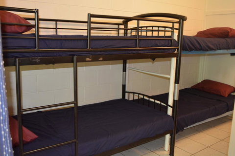 Frogs-Hollow Backpackers - Accommodation Batemans Bay 7