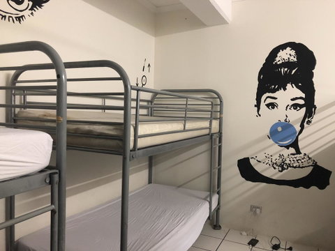 Frogs-Hollow Backpackers - Accommodation Batemans Bay 33