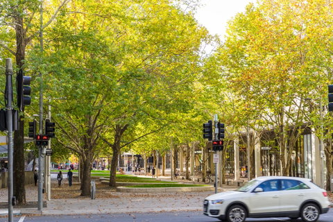 Highgate Executive Apartment City Walk Canberra - Accommodation Batemans Bay 37